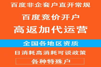 百度推广案例：品牌快速崛起的秘密